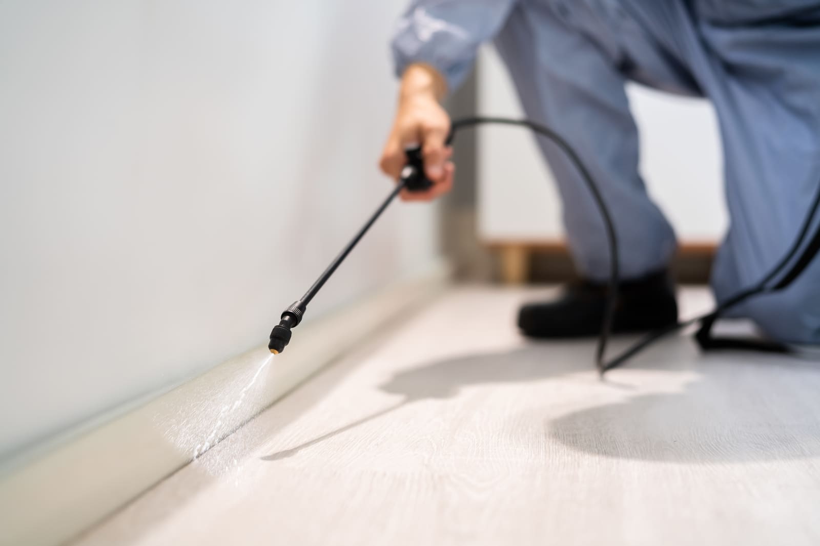 Pest control technician spraying pesticide