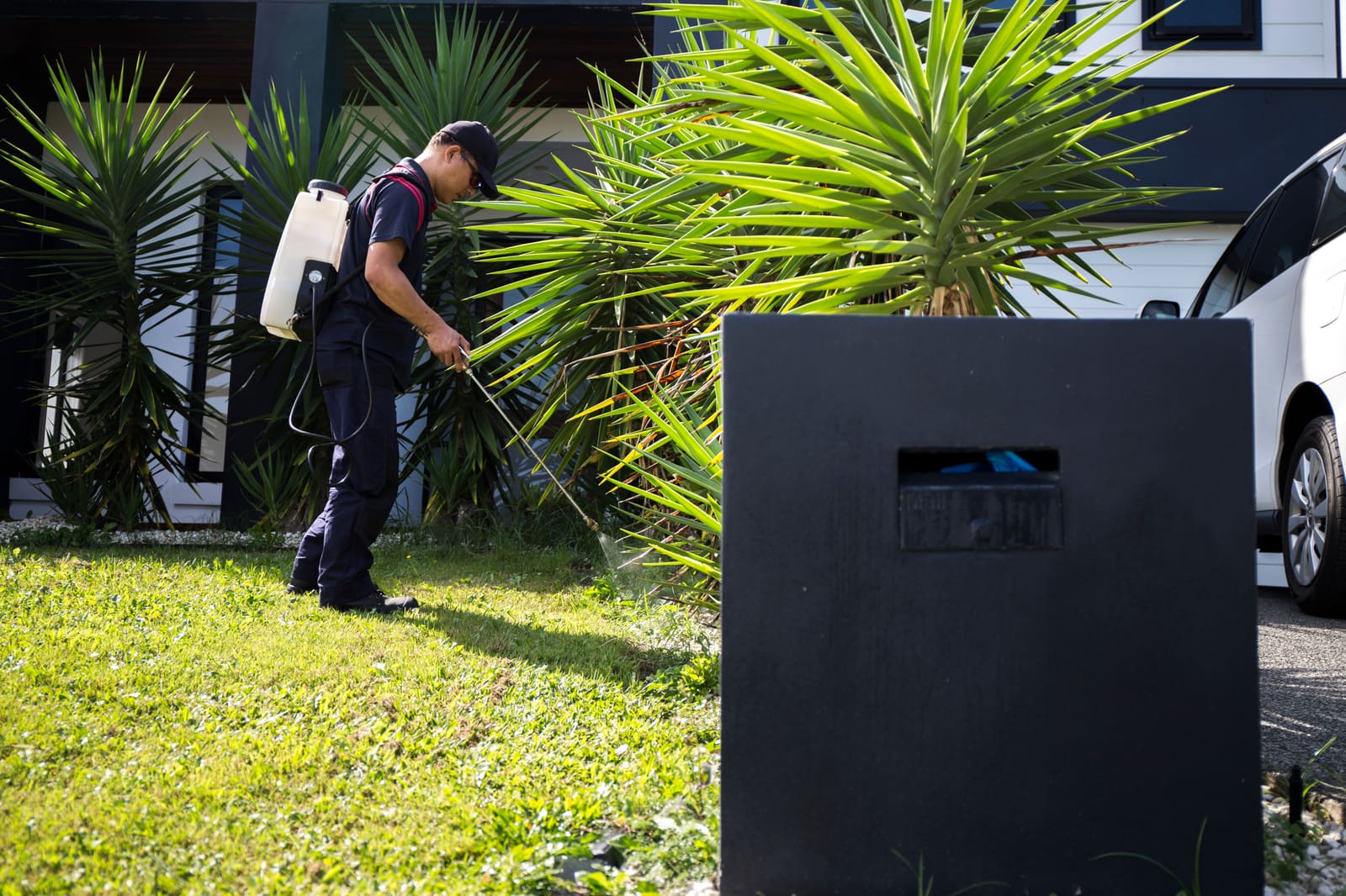 Pest control technician treating the exterior of a home