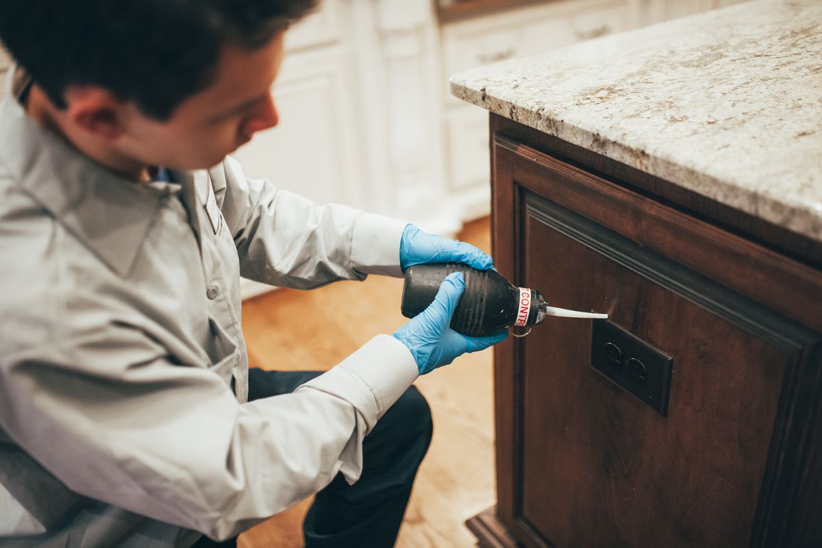 An Urbanex technician applying gel bait into the crevices of a kitchen cabinet