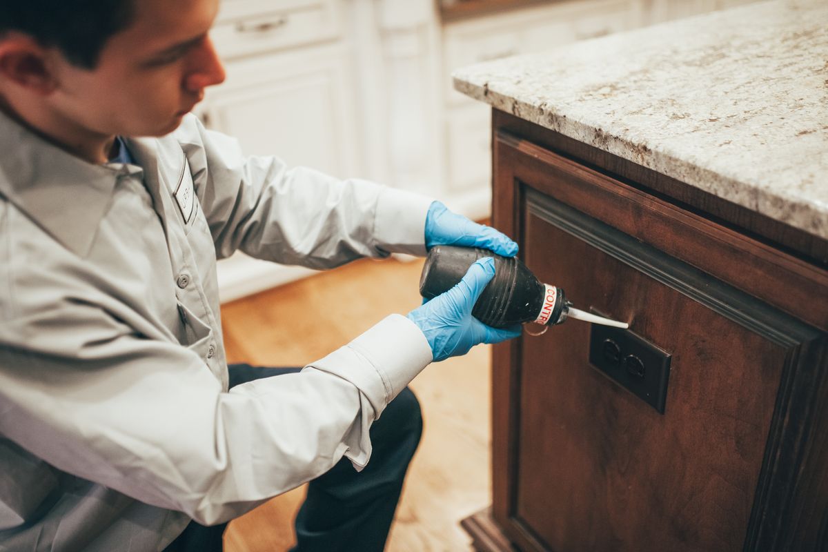 Close-up of an Urbanex technician applying gel bait to a kitchen cabinet crevice