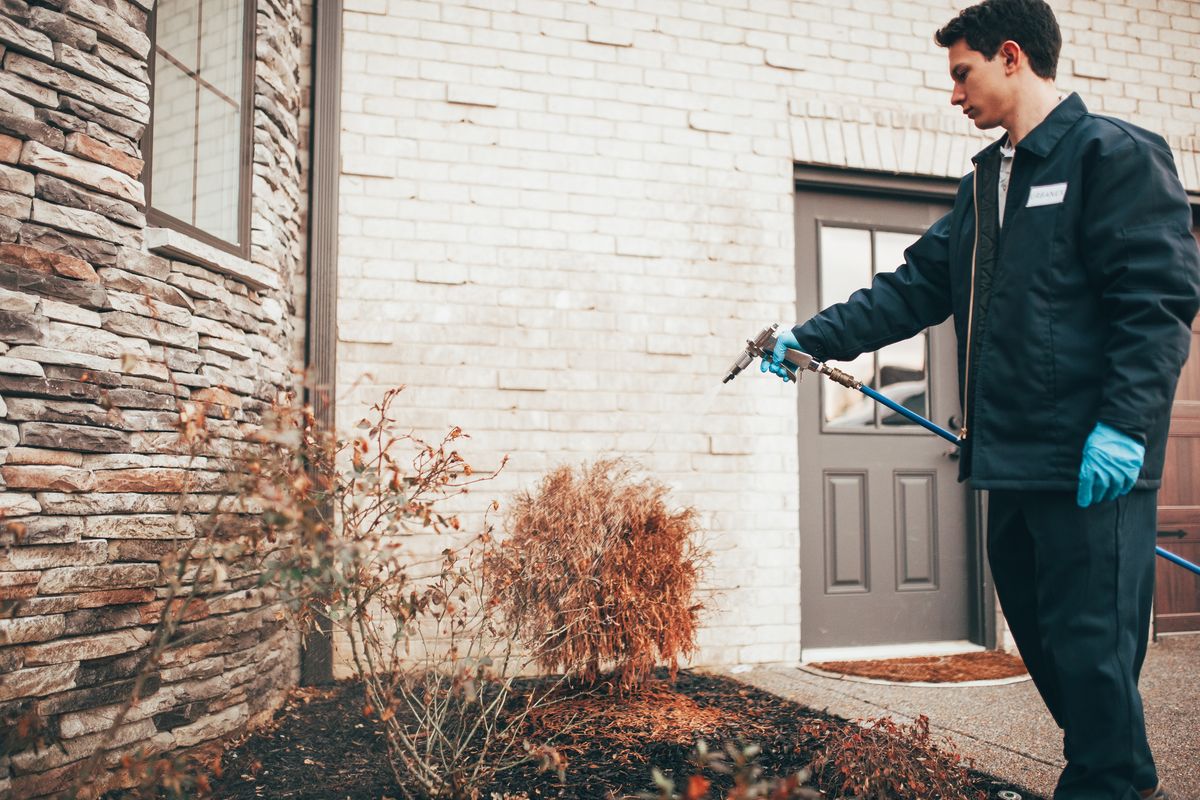 An Urbanex technician treating shrubs and landscaping beds beside a home