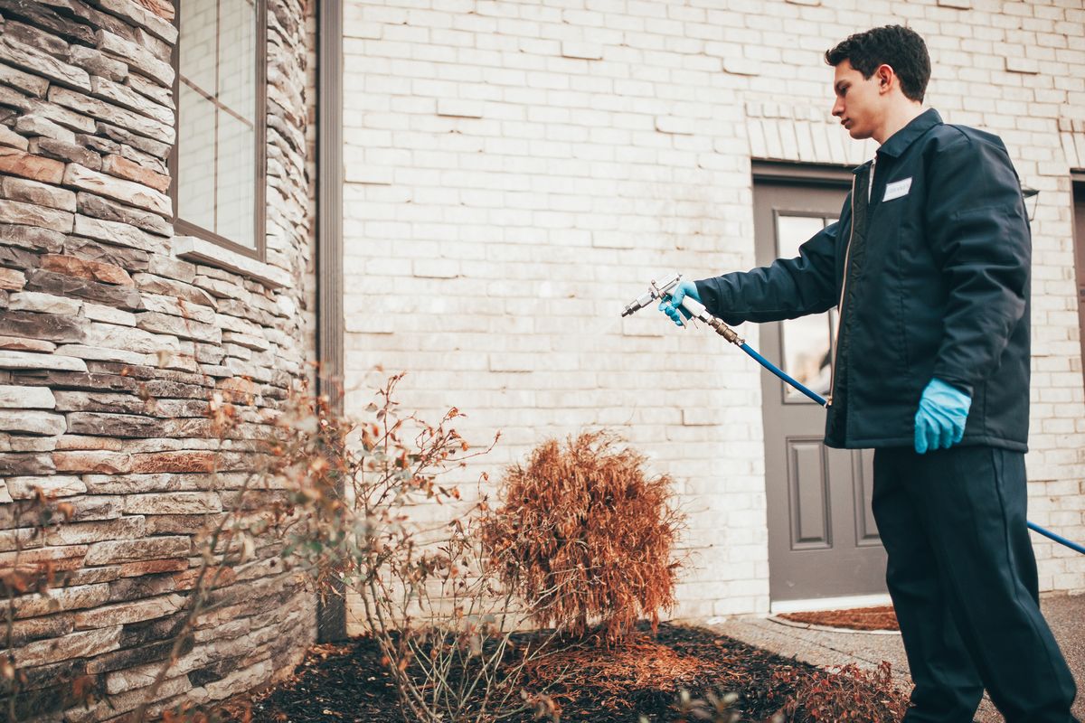 An Urbanex technician treating shrubs along a home's stone exterior wall